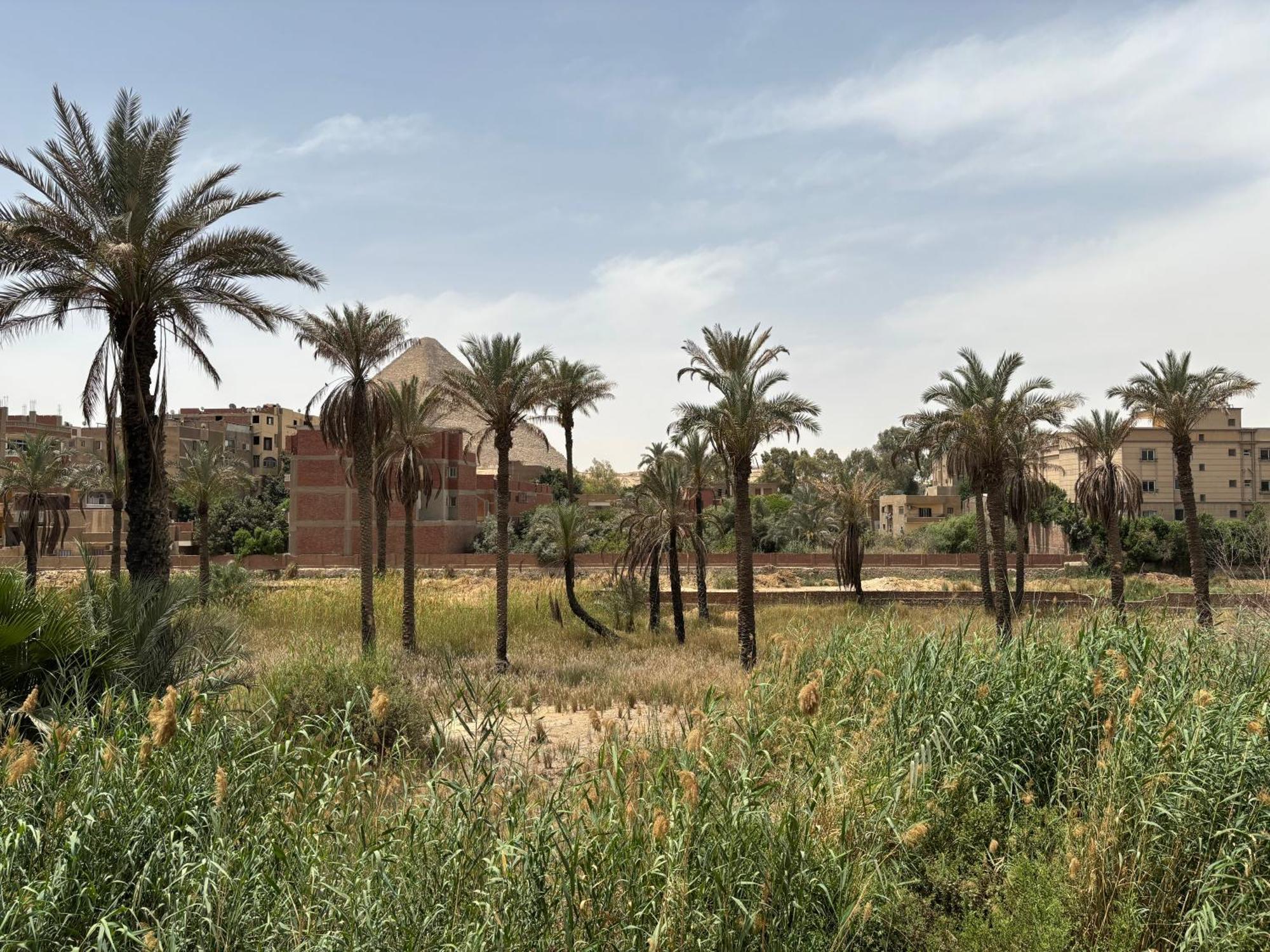 Master Pyramids Hotel Al Kawm al Akhdar Exteriör bild